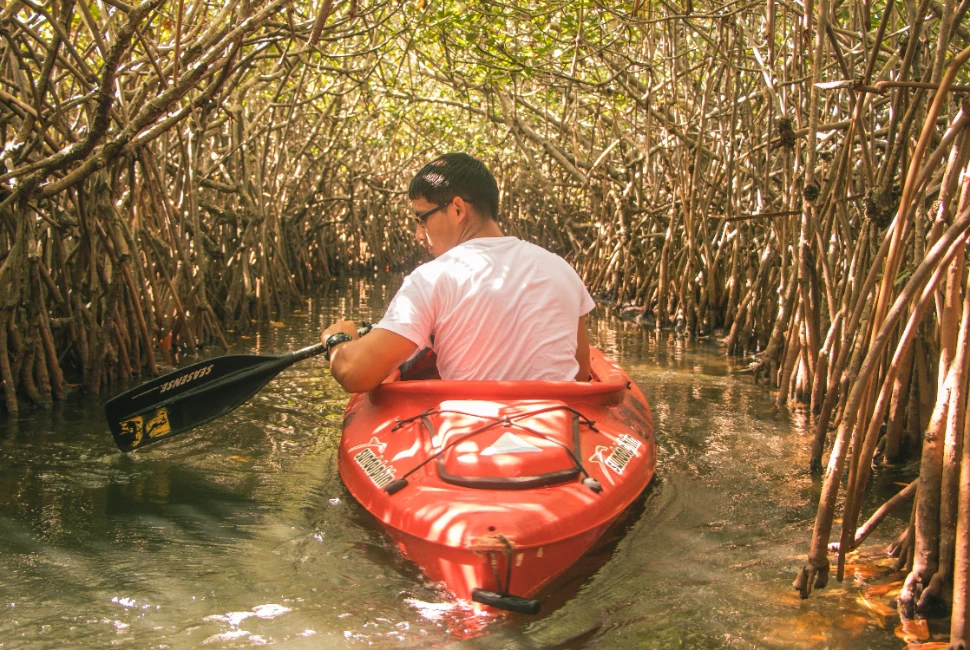 Road Trips from Paris, TX: Exploring Hidden Gems Beyond the City Limits